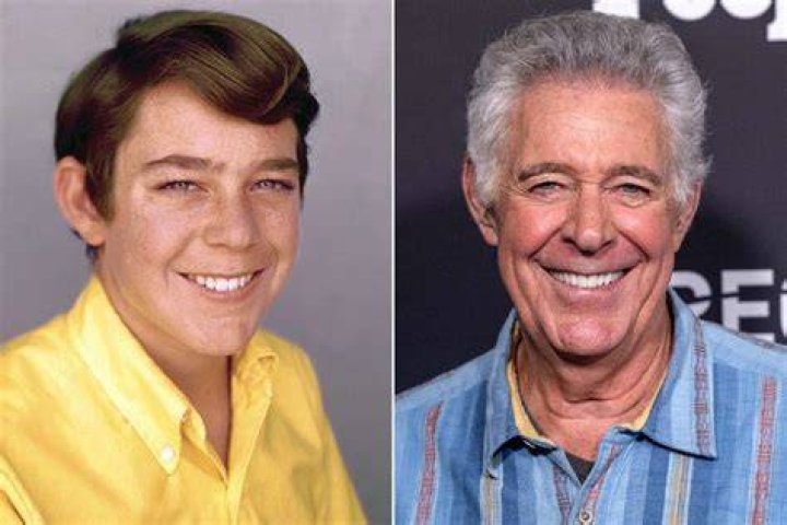 barry williams acting career barry williams acting career