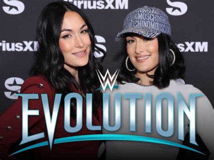 Brie Bella WWE debut Brie Bella WWE debut