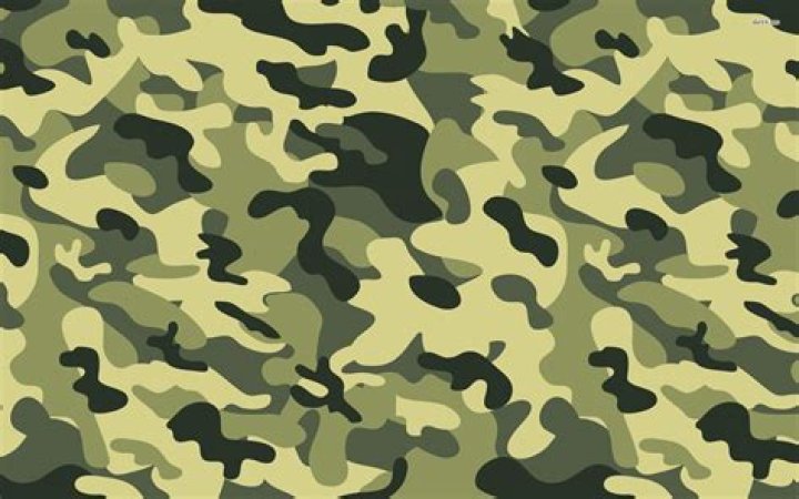 Camo Camo