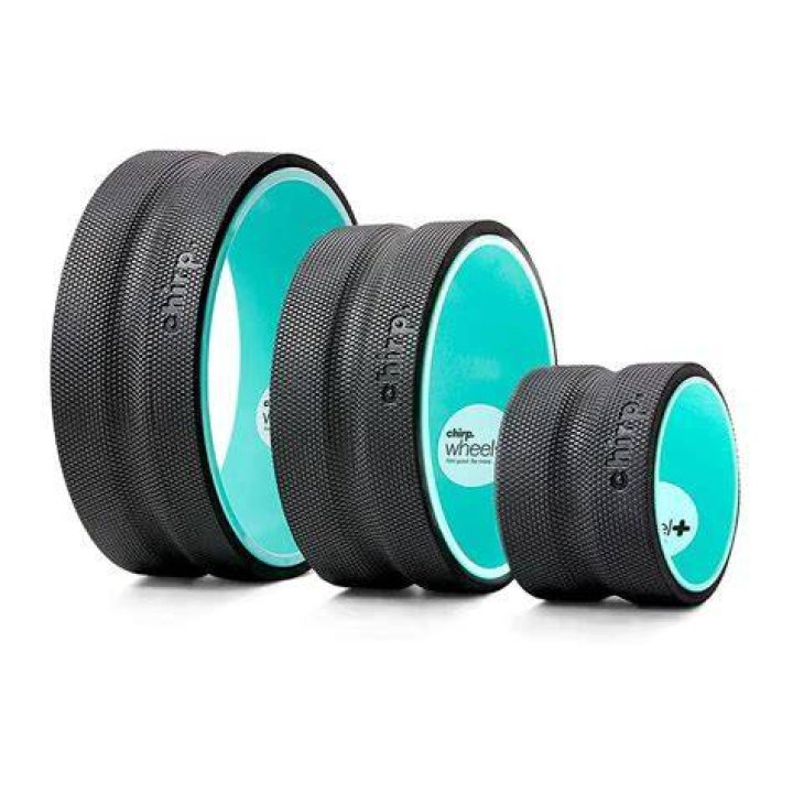 Chirp Wheel success Chirp Wheel success
