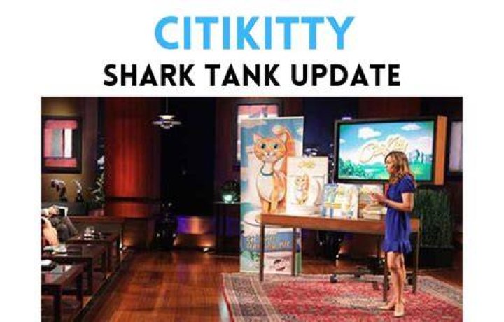 CitiKitty future plans CitiKitty future plans