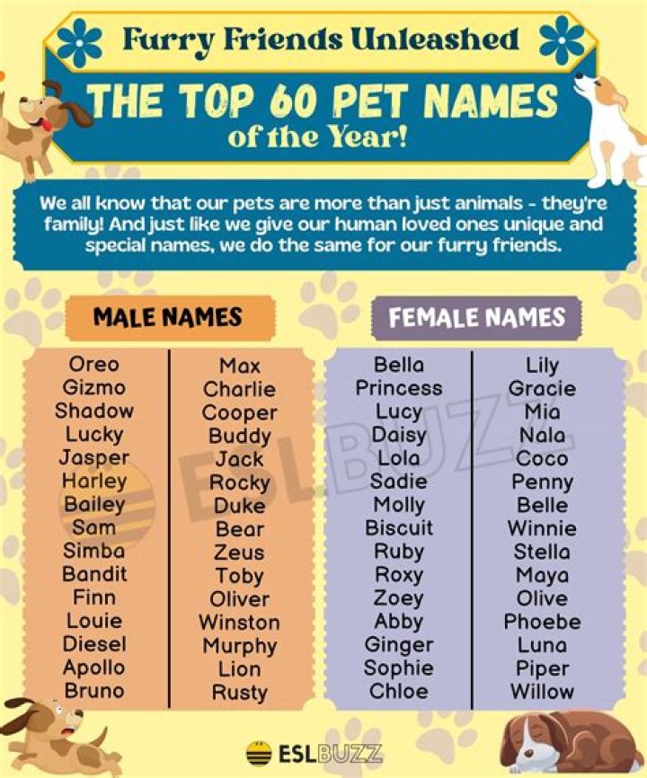 cute pet names for a husband cute pet names for a husband