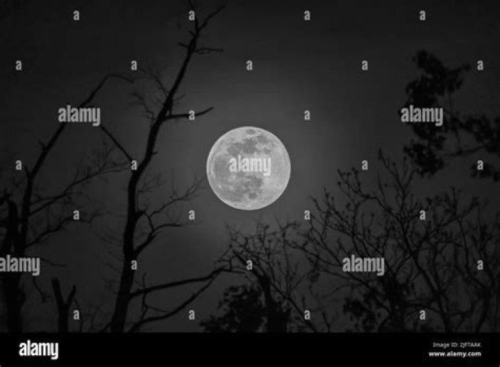 Dark Shadows-The Night In White Satin - moody blues nights in white satin movie soundtrack