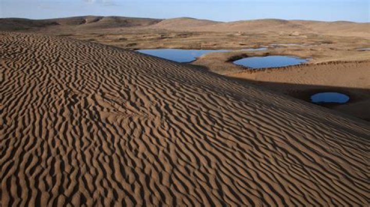 Desertification