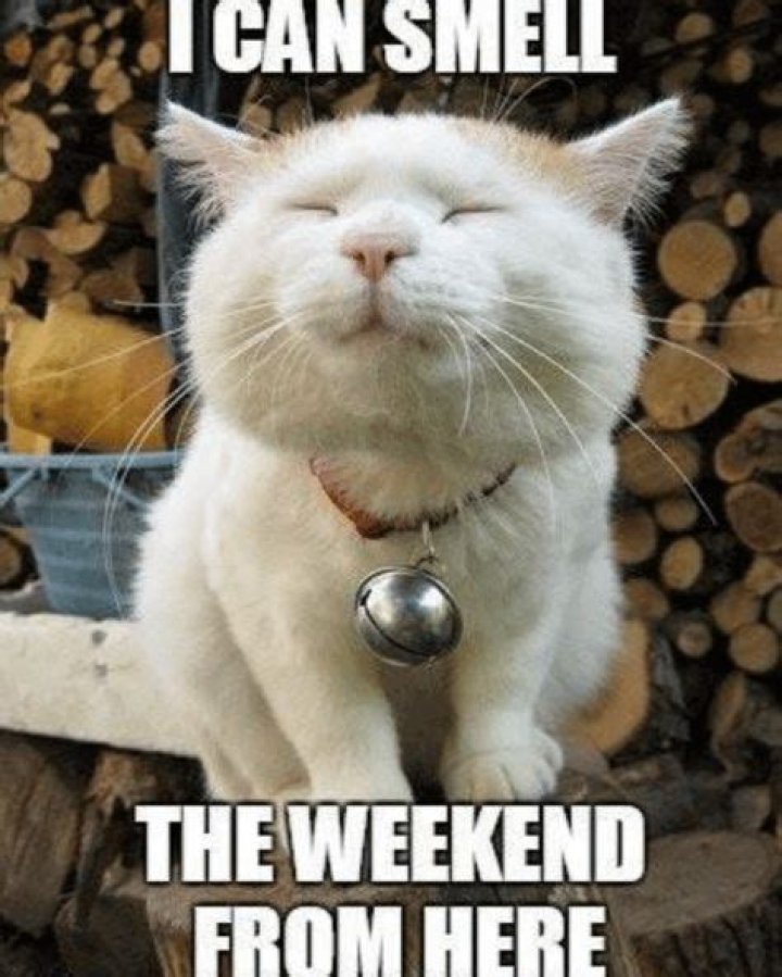 I can smell the weekend.