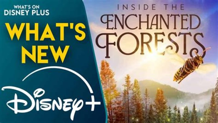 is enchanted on disney plus amy adams