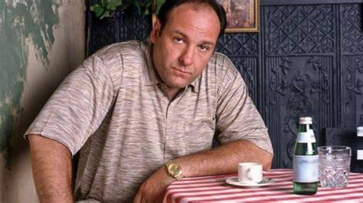 James Gandolfini Television Career