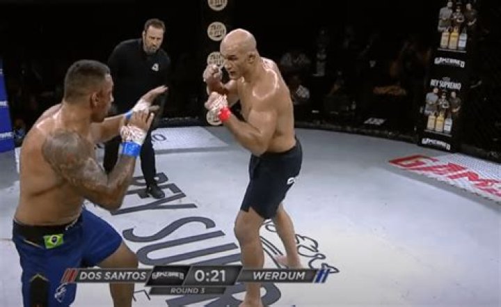 junior dos santos fighting style