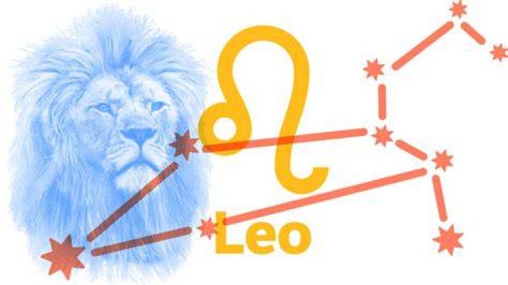 Leo Ara&uacute;jo
