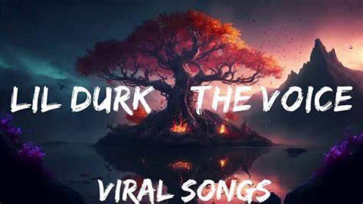 lil Durk- The Voice (Lyrics) - the voice lil durk hoodie