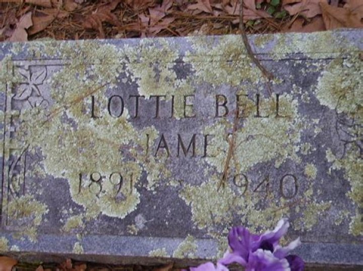 Lottie Alice James