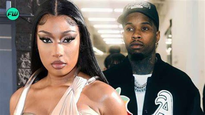 Megan Stallion shooting incident