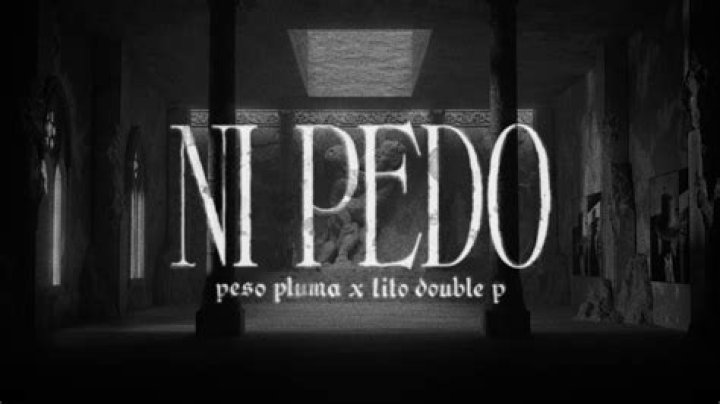 Ni Pedo