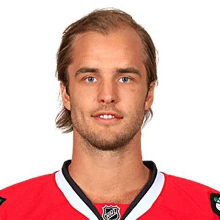 niklas hjalmarsson net worth niklas hjalmarsson net worth