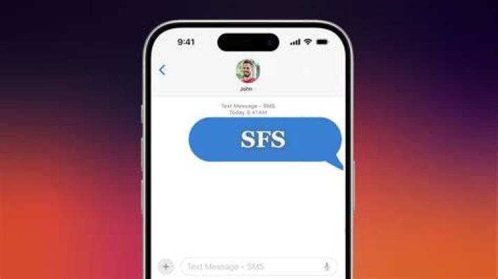 sfs meaning