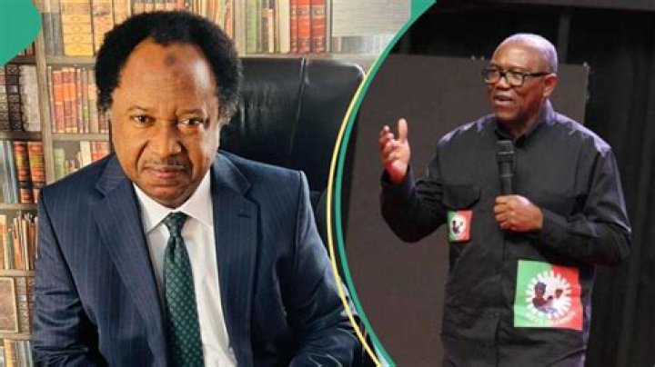 Shehu Sani analyses Peter Obi&rsquo;s chances in 2027