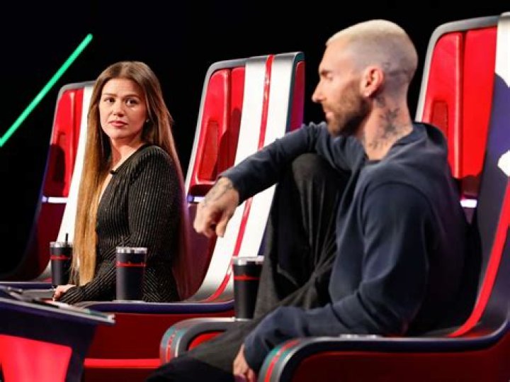The Voice Coaches