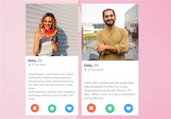 tinder bios