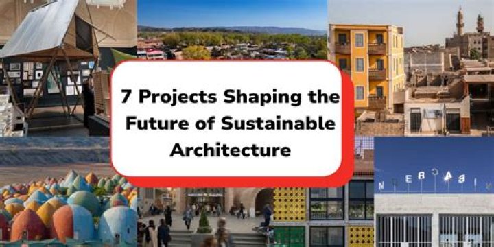 tj thyne future projects