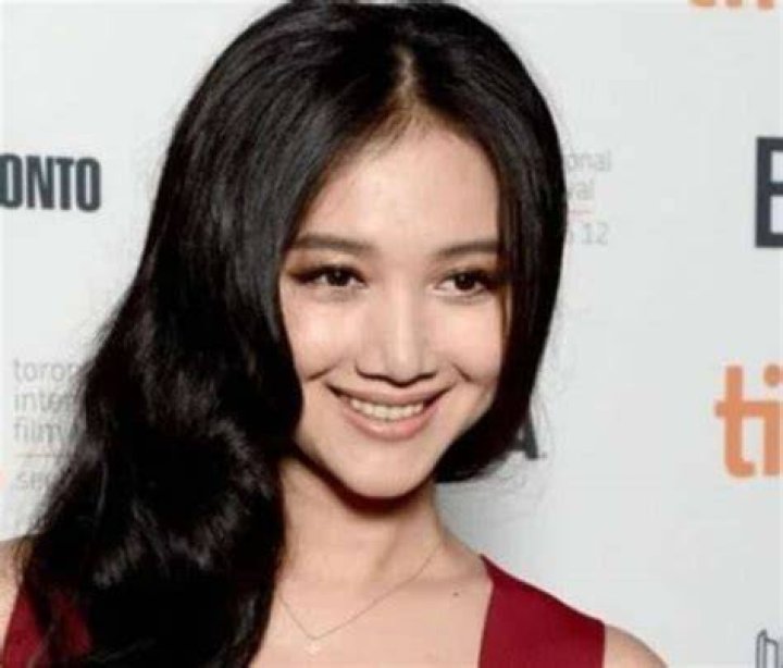 wenwen han net worth wenwen han net worth