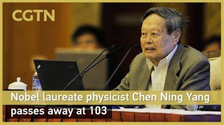 yang chen chen net worth