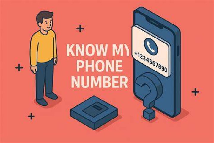 ZackScottGames Phone Number